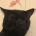 p00pseek