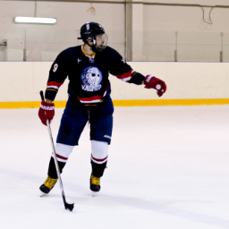 Hockeygamer