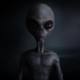 ������ ������������ QuickUSER666