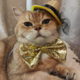   GoldenTosha