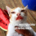 user10282046