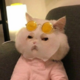 ����� ����� ������ ���� �����������
