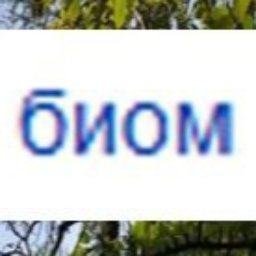 user10340326