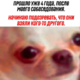 ����� ����� ������ ���� �����������