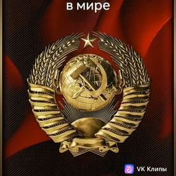 user10406888