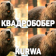 ������ ������������ ArcW