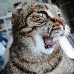 KatiLink