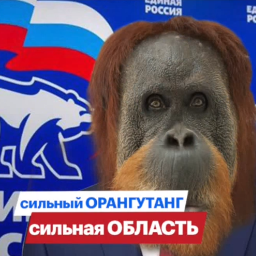 kot.kuzya