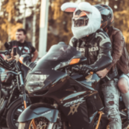 Crazycat.36rus