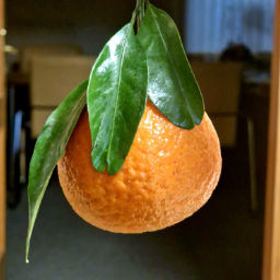 jerrronimo