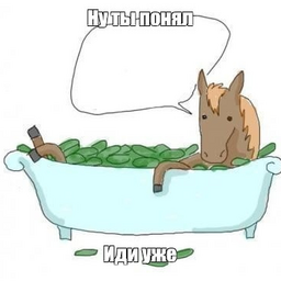horsecucumber