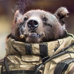 BigSadBear