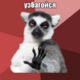 ����� ����� ������ ���� �����������