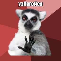 amigostr