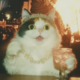   MrDusya