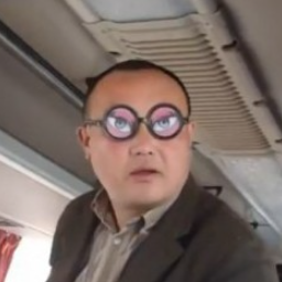 kotiky