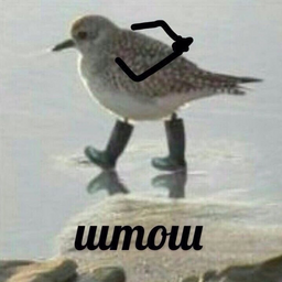 LuiVitun