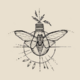 Аватар пользователя small.glowworm