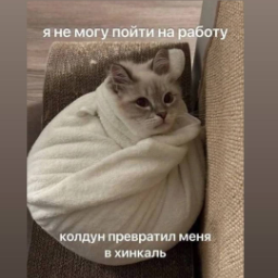 Uchilka37