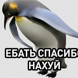 user4905026