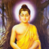 RomaHai