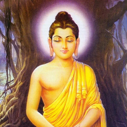 RomaHai