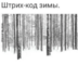 user6579501