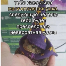 user6875820