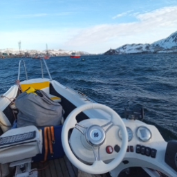 seaswim
