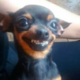 ������ ������������ SafronovPh