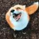 ������ ������������ oOSkunkOo