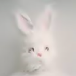 Bunnymun