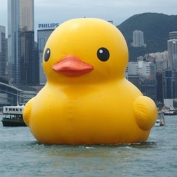 BiggestDuck