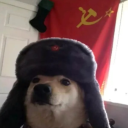 Krasnov17