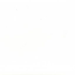 user9600099