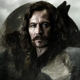 SiriusBlackBlack