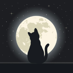 Mrs.Moonlight