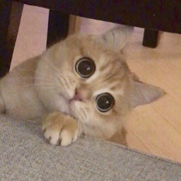 KisaUrururu