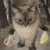 HistoryMadCat
