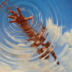Der5raru