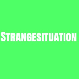Strangesituation