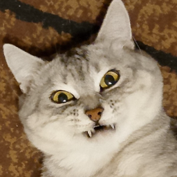 Lenie