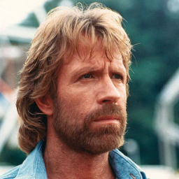 chucknorris1
