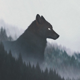 La.Loba1