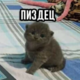 ������ ������������ alczj
