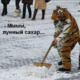 ������ ������������ Morrowlover