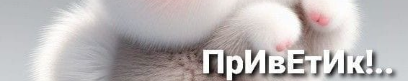 Pikabu banner for @Turtles