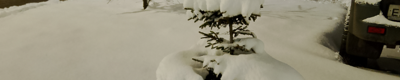 Pikabu banner for @Tourists