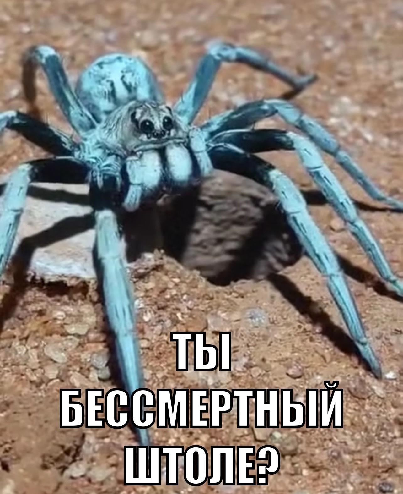 1736758599190880182.jpg