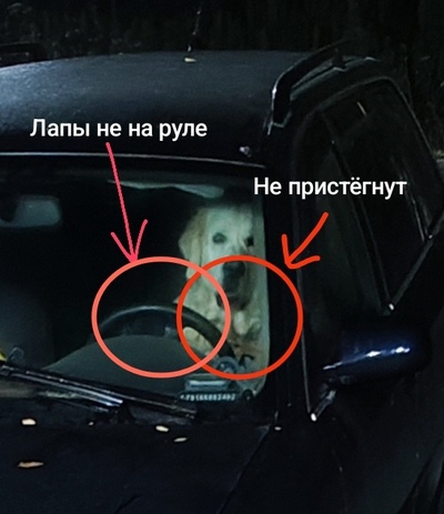 Иллюстрация к комментарию